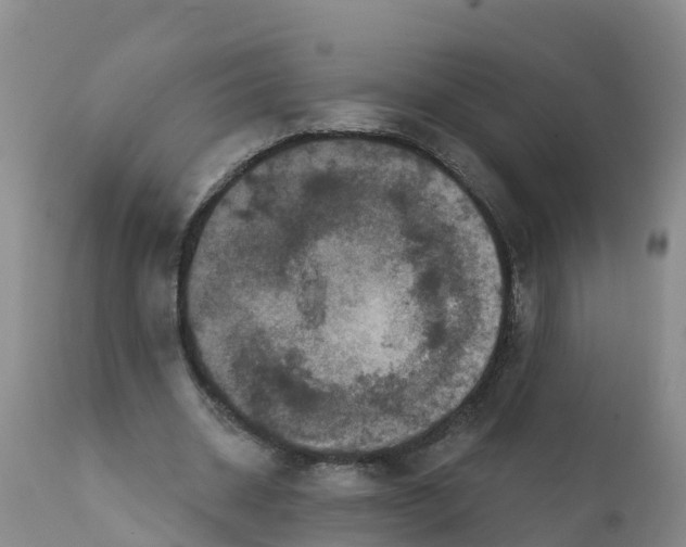 X0000111640534200908141410