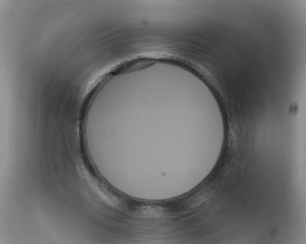 X0000111640535200908141410