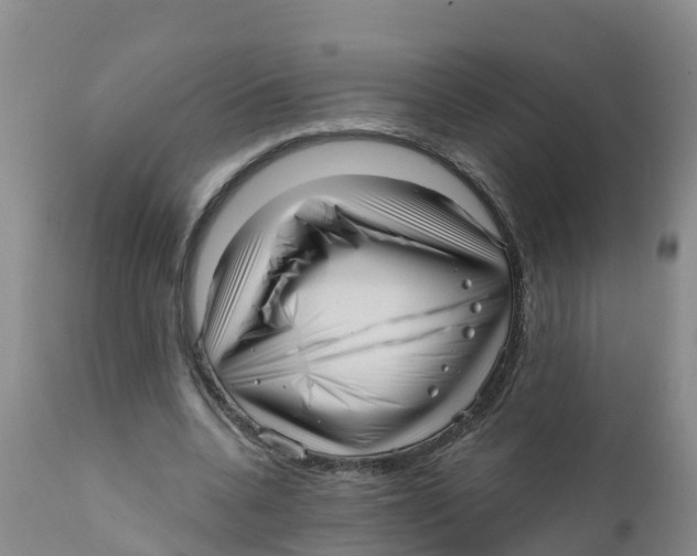 X0000111640536200908141410