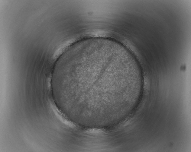 X0000111640537200908141410