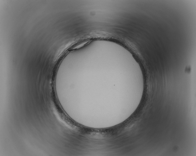 X0000111640538200908141410