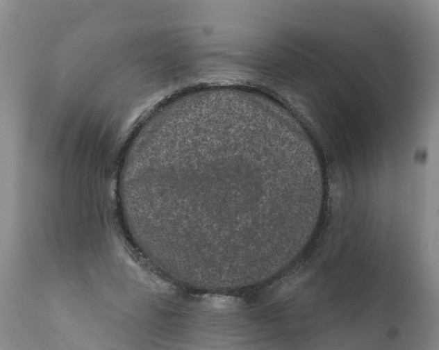 X0000111640539200908141410