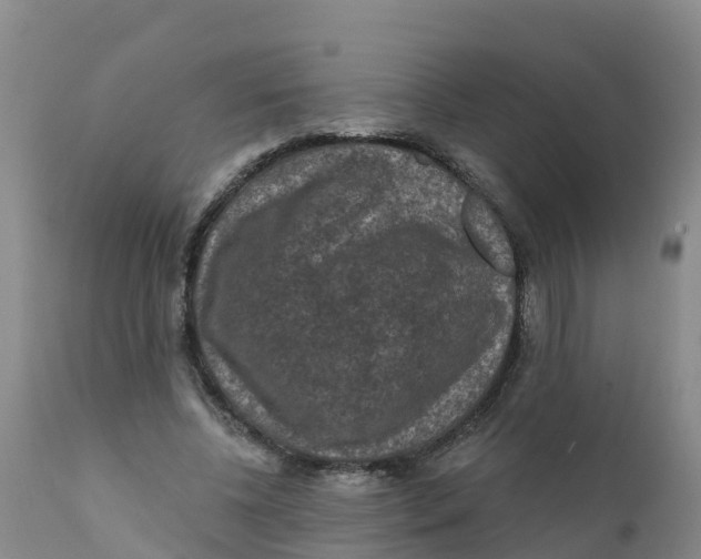 X0000111640540200908141410