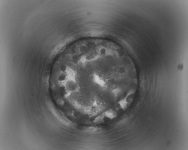 X0000111640542200908141410
