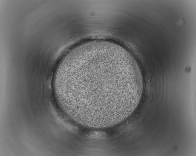 X0000111640543200908141410