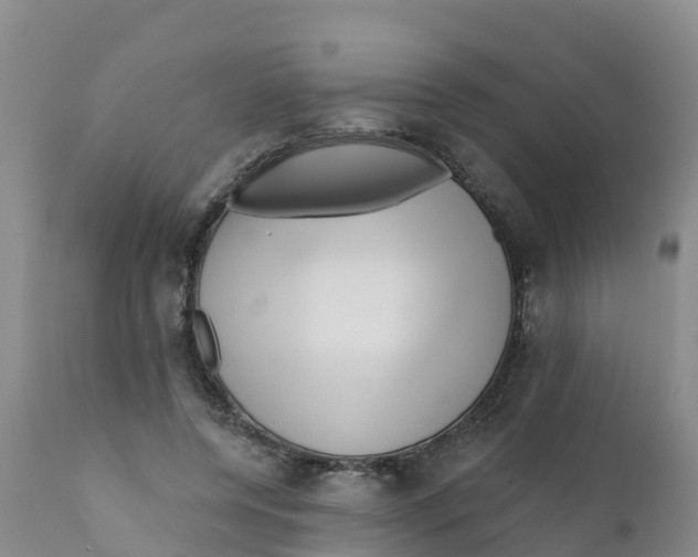 X0000111640544200908141410