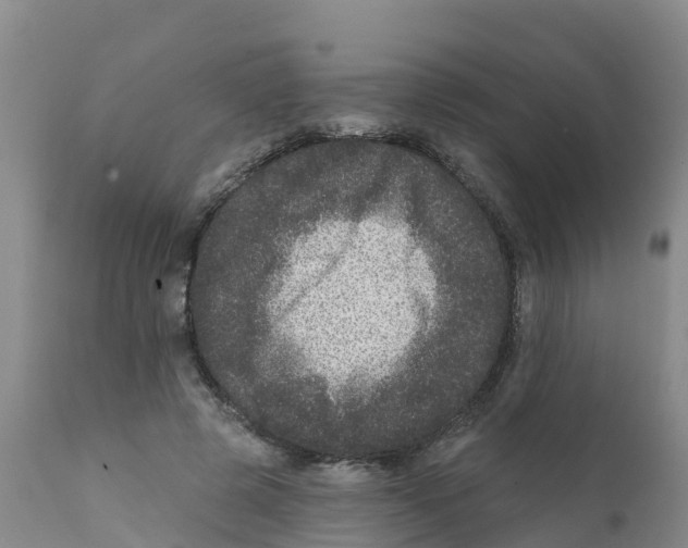 X0000111640545200908141410