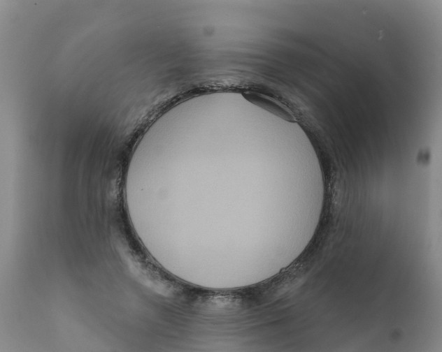 X0000111640546200908141410