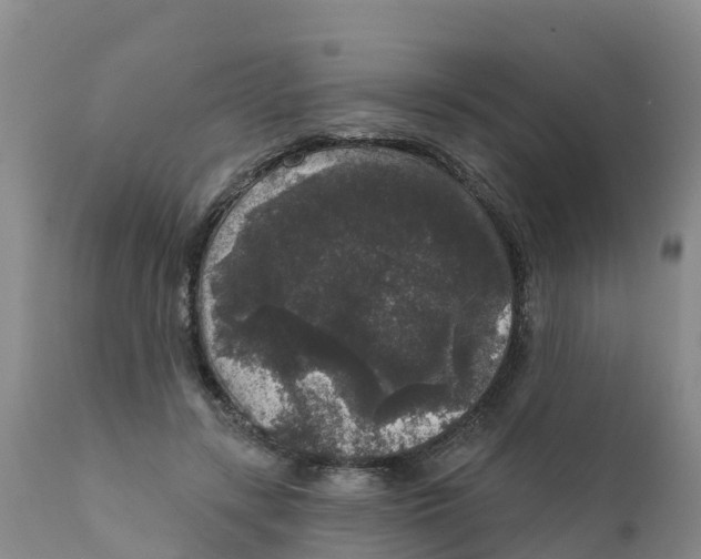 X0000111640547200908141410