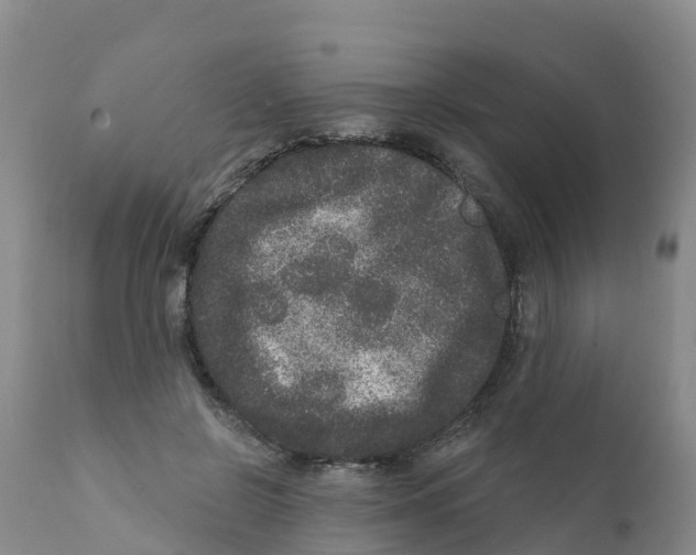 X0000111640550200908141410