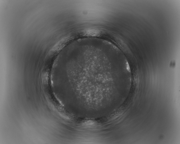 X0000111640551200908141410
