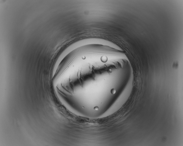 X0000111640552200908141410