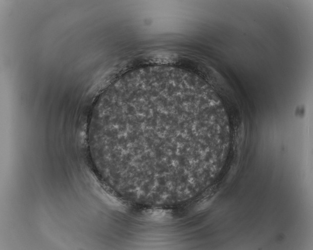 X0000111640553200908141410