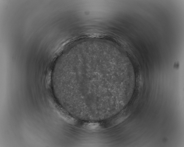 X0000111640554200908141410