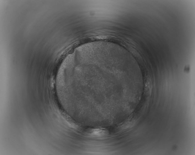 X0000111640555200908141410