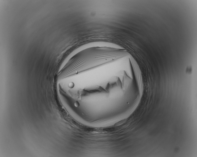 X0000111640556200908141410
