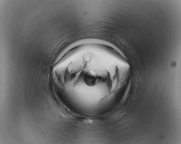 X0000111640558200908141410