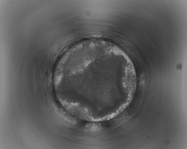 X0000111640559200908141410
