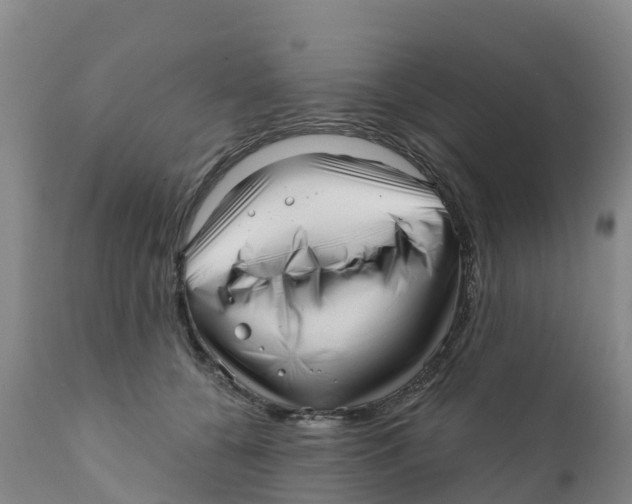 X0000111640560200908141410
