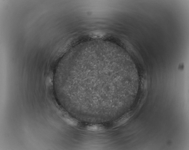 X0000111640561200908141410