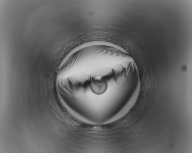 X0000111640562200908141410