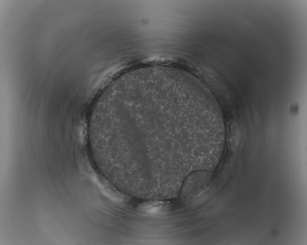 X0000111640563200908141410