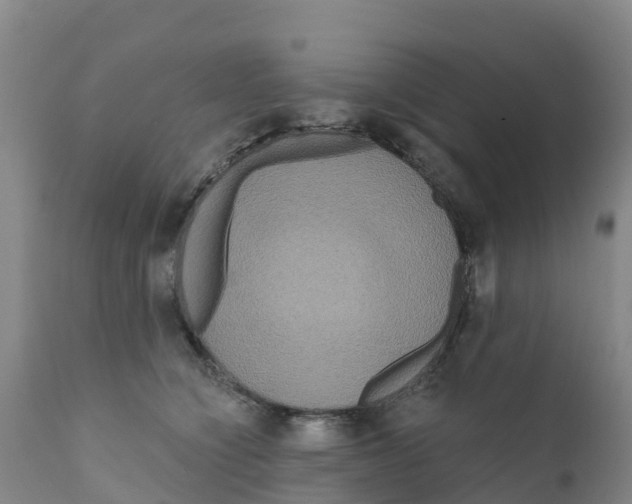 X0000111640564200908141410