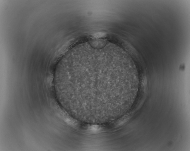 X0000111640565200908141410