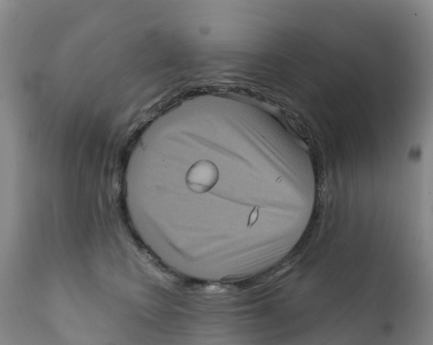 X0000111640566200908141410