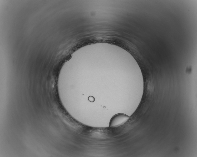 X0000111640567200908141410