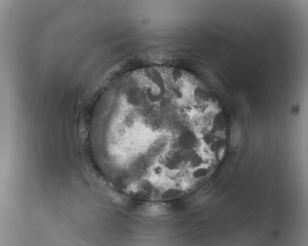 X0000111640569200908141410