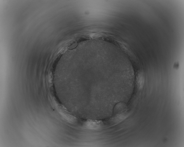 X0000111640571200908141410