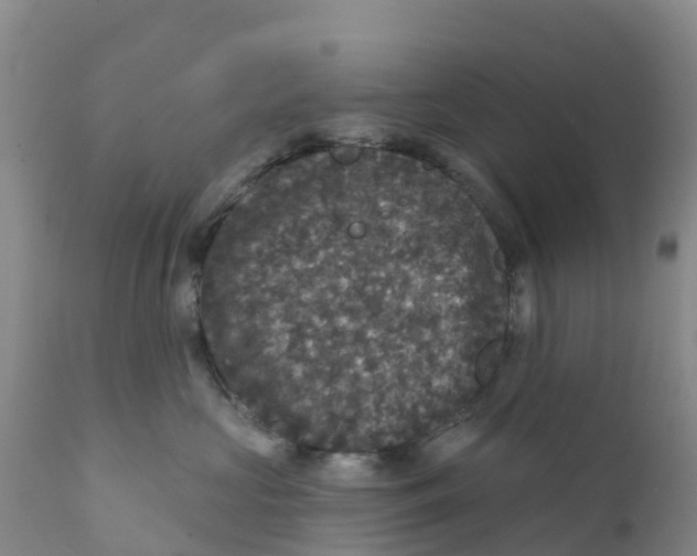 X0000111640573200908141410