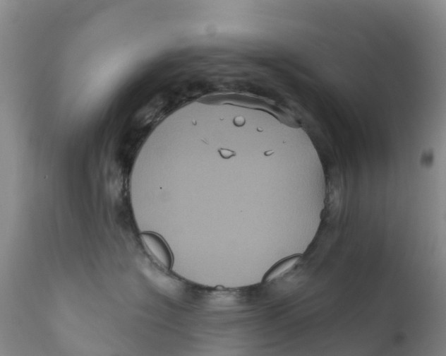 X0000111640574200908141410