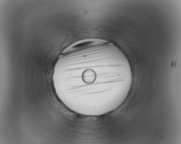 X0000111640576200908141410