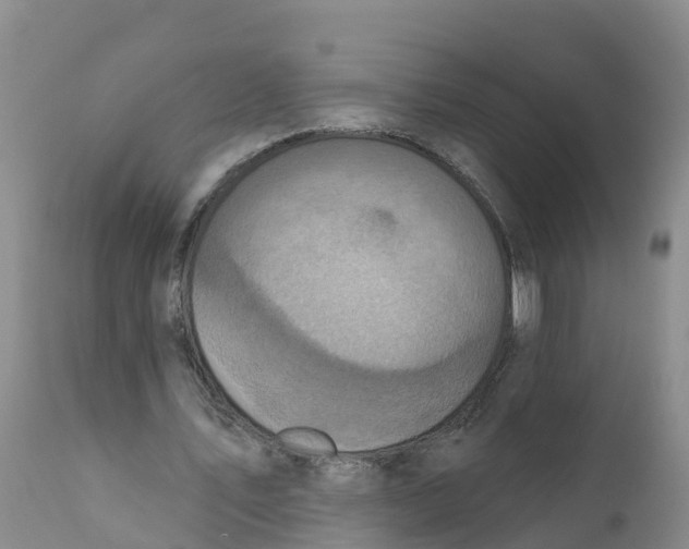 X0000111640579200908141409