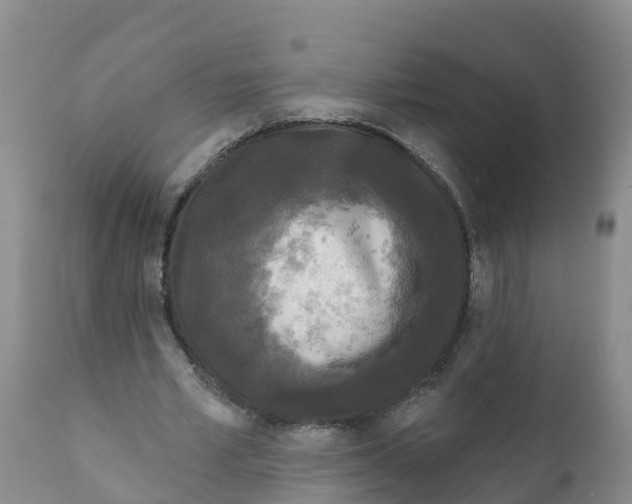 X0000111640581200908141409