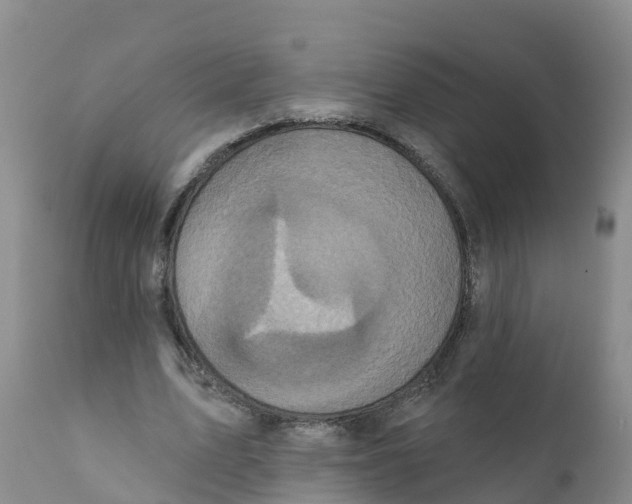 X0000111640583200908141409