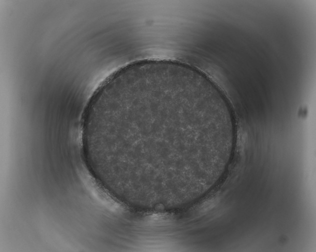 X0000111640584200908141409