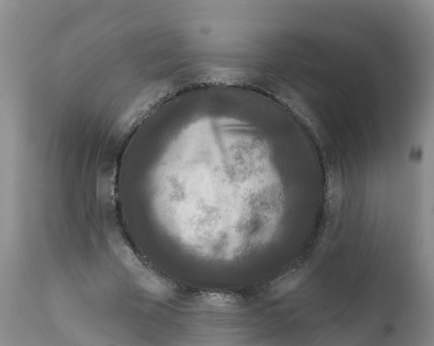 X0000111640585200908141409