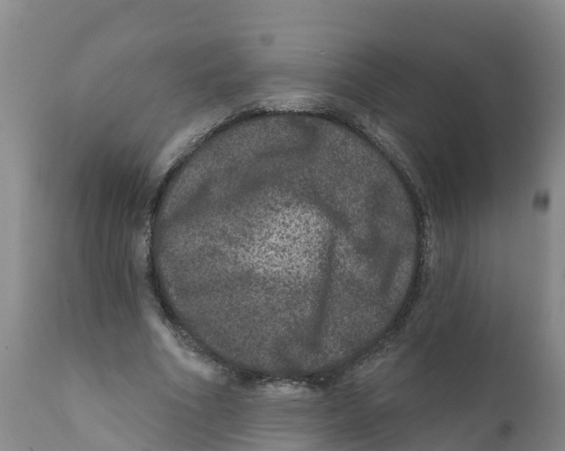 X0000111640586200908141409