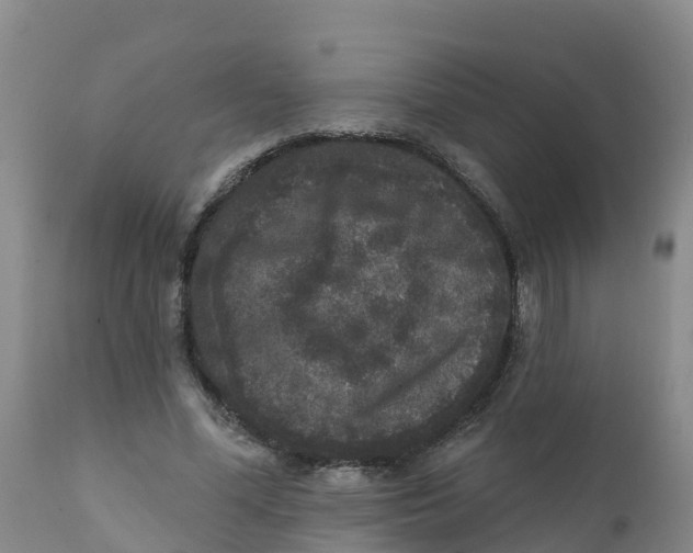 X0000111640588200908141409