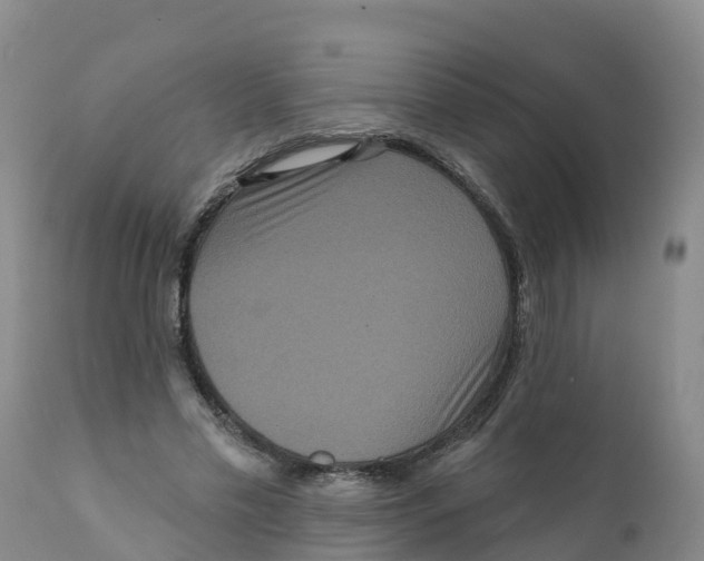 X0000111640589200908141409