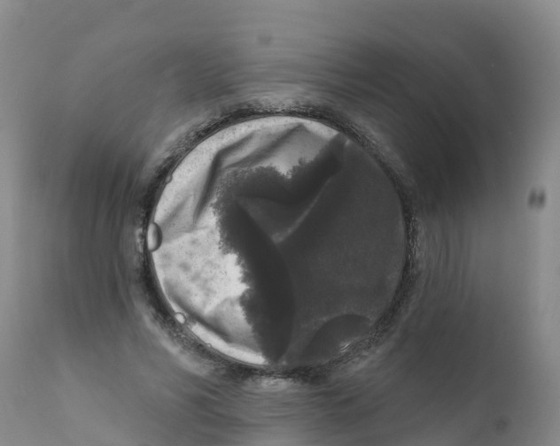 X0000111640590200908141409