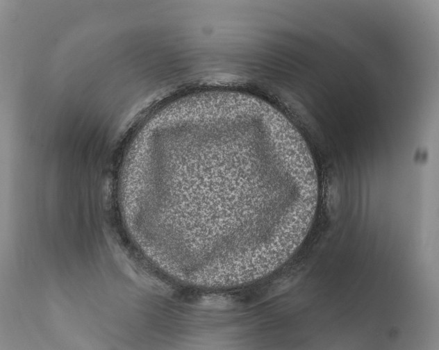 X0000111640591200908141409