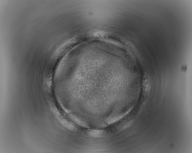 X0000111640593200908141409