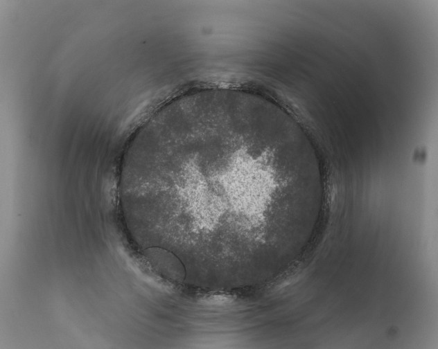 X0000111640594200908141409