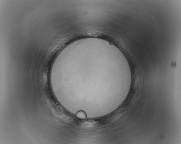 X0000111640595200908141409
