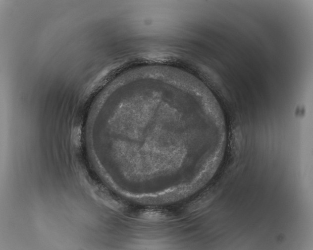 X0000111640596200908141409