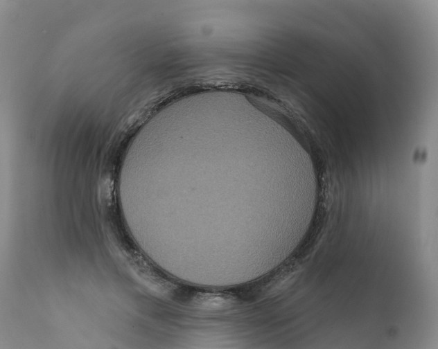 X0000111640597200908141409